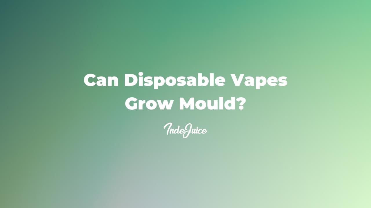 Can Disposable Vapes Grow Mould?