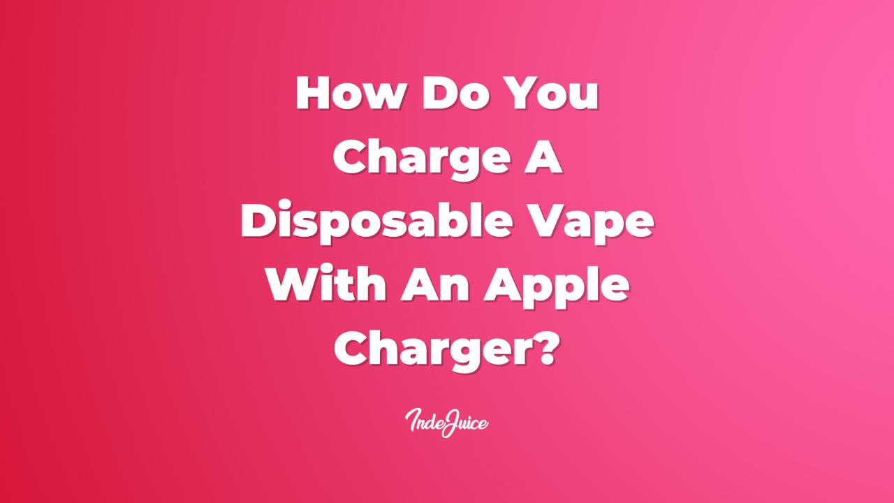 How Do You Charge A Disposable Vape With An Apple Charger? | Disposable Vapes | Vaping Guides | IndeJuice (UK)